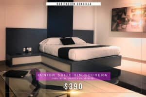 Motel Love Monterrey Junior Suite Sin cochera